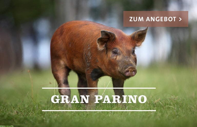 Gran Parino