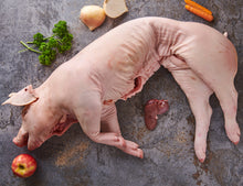 Cochon de lait [TKF]