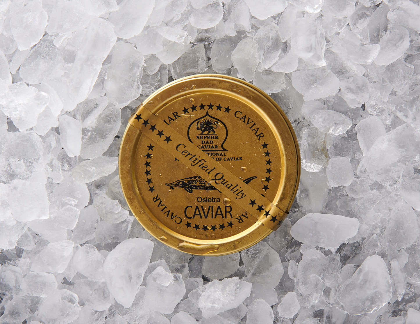 Osietra Caviar - SEPEHR DAD CAVIAR