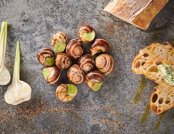 Schnecken [TKF]
