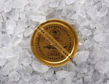 Asetra Caviar - SEPEHR DAD CAVIAR