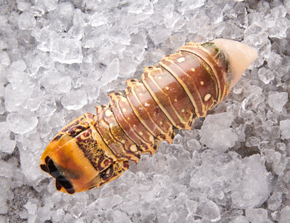 Langustenschwänze - ca. 375 bis 400g [TKF]