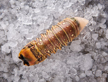 Lobster tails - approx. 375 to 400g [TKF]
