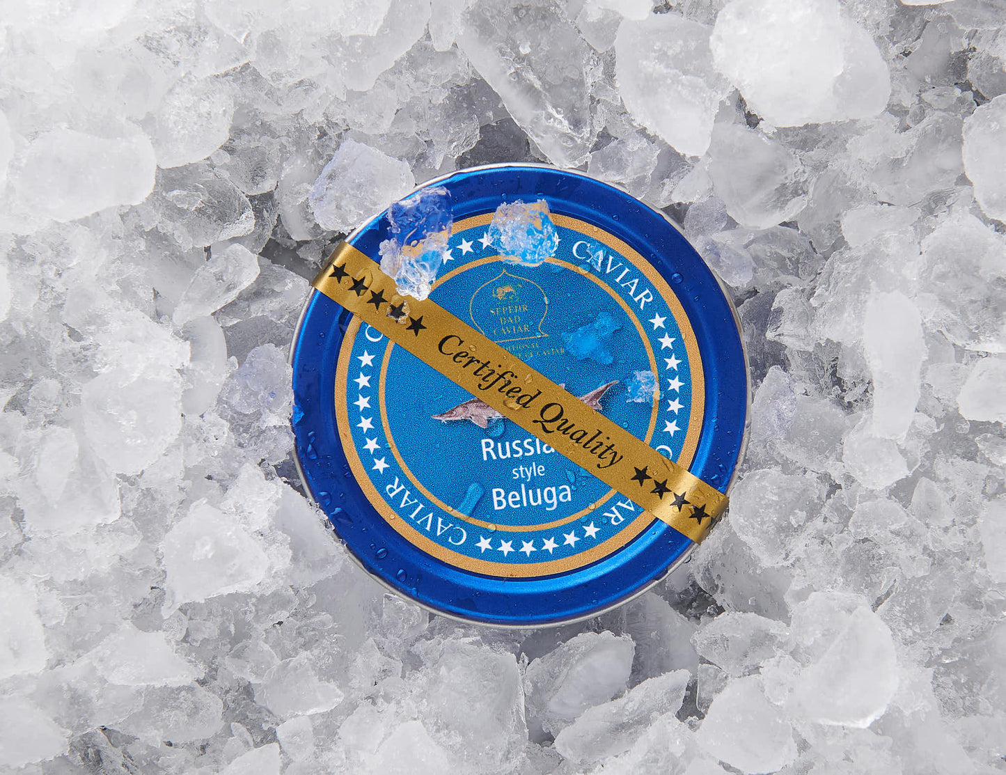 Russian Style Beluga Caviar - SEPEHR DAD CAVIAR
