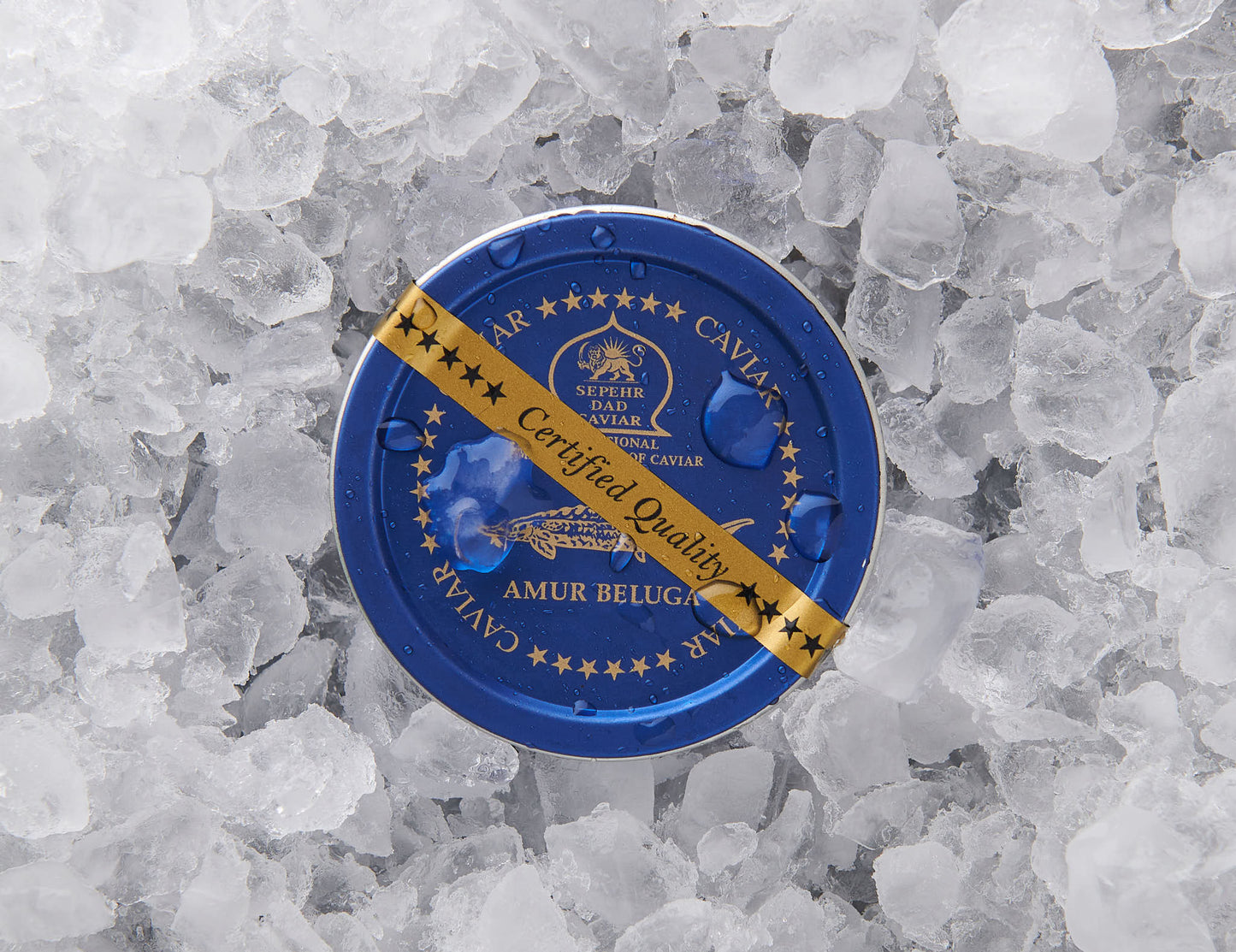 Beluga Caviar - SEPEHR DAD CAVIAR