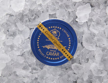 Beluga Caviar - SEPEHR DAD CAVIAR