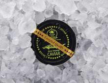 Amur Imperial Caviar - SEPEHR DAD CAVIAR