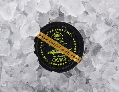 Amur Imperial Caviar - SEPEHR DAD CAVIAR