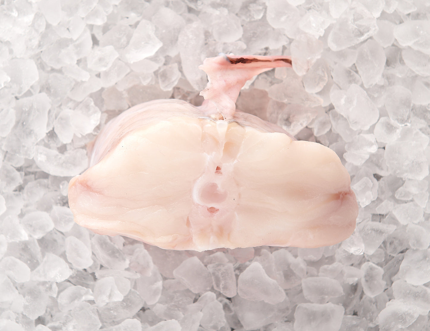 Seeteufel Filet 400g