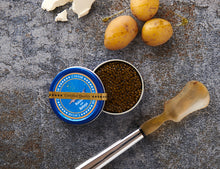 Russian Style Beluga Caviar - SEPEHR DAD CAVIAR