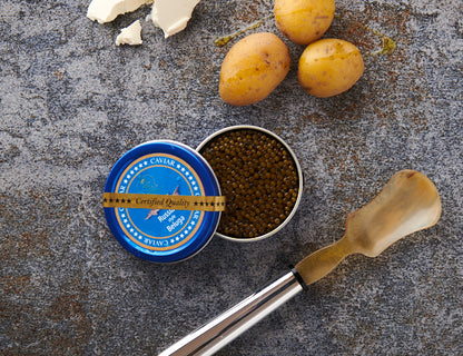 Russian Style Beluga Caviar - SEPEHR DAD CAVIAR