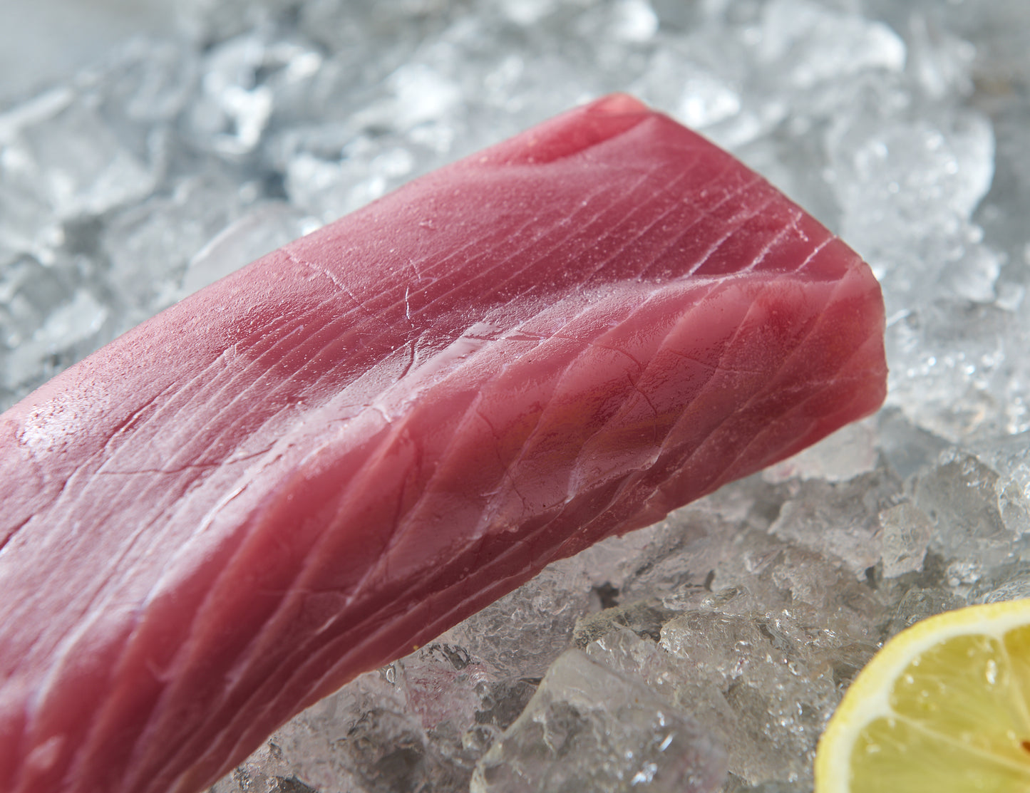 Safer Salmon ROHbert - fresh salmon fillet