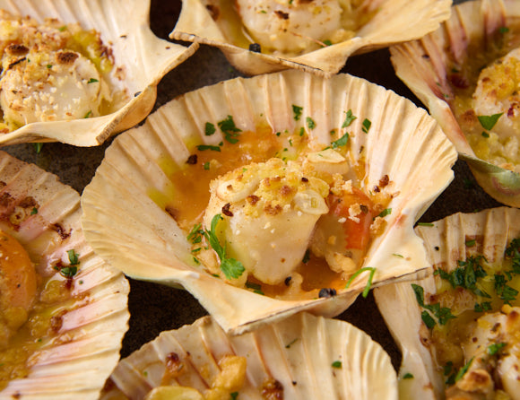 Coquilles Saint-Jacques en coquille 1000g [TKF]