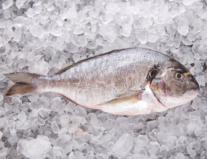 Dorade 450g