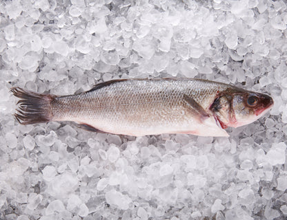 Wolfsbarsch 450g