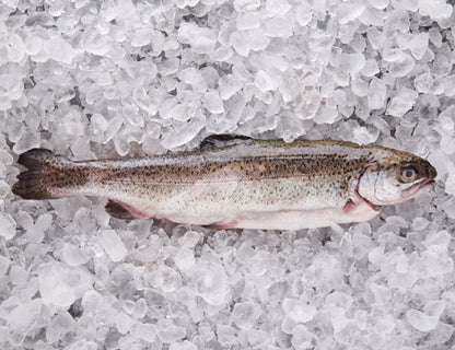 Fangfrische Forelle 300g
