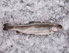 Freshly caught trout 300g