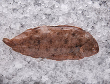 sole