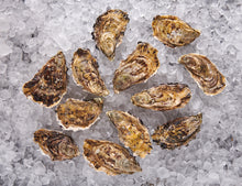 Austern - Fine de Claire