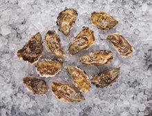 Oysters - Fine de Claire