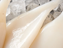 Tintenfisch Tuben 800g [TKF]
