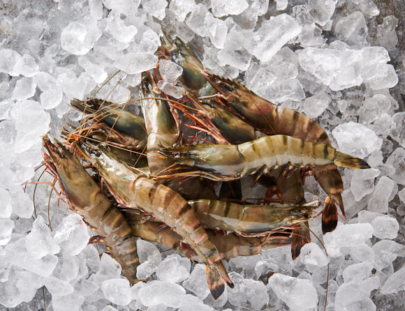 Black Tiger Garnelen 08/12 - 850g [TKF]