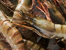 Black Tiger Garnelen 08/12 - 850g [TKF]