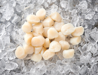 Jakobsmuscheln 800g [TKF]