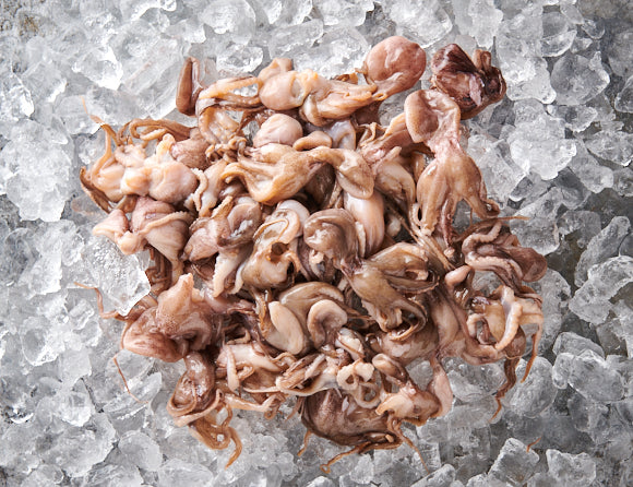 Baby Oktopus 800g [TKF]