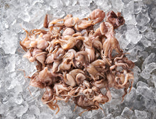 Baby Oktopus 800g [TKF]