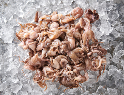 Baby Oktopus 800g [TKF]