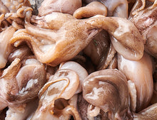 Baby Oktopus 800g [TKF]