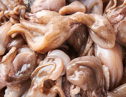 Baby Oktopus 800g [TKF]