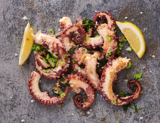 Pulpo - Octopus vulgaris