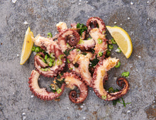 Pulpo - Octopus vulgaris