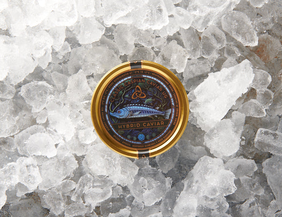 Golden Hybrid - Classic Caspian Caviar
