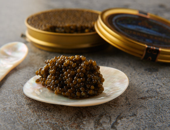 Golden Hybrid - Classic Caspian Caviar
