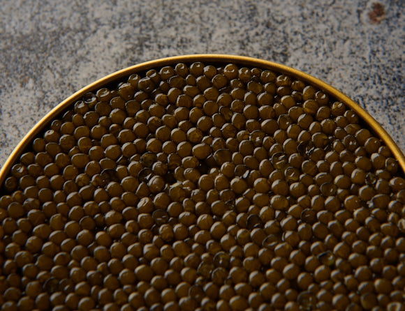Osietra - Classic Caspian Caviar