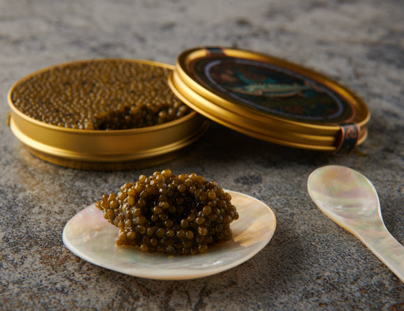 Osietra - Classic Caspian Caviar