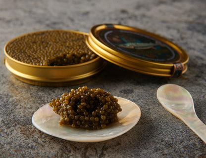 Osietra - Classic Caspian Caviar