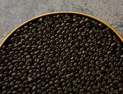 Royal Beluga - Classic Caspian Caviar