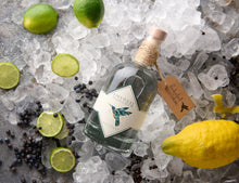 Ledňáček gin