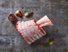 Wagyu Waiz – Beef Boxes Wagyu [TKF]
