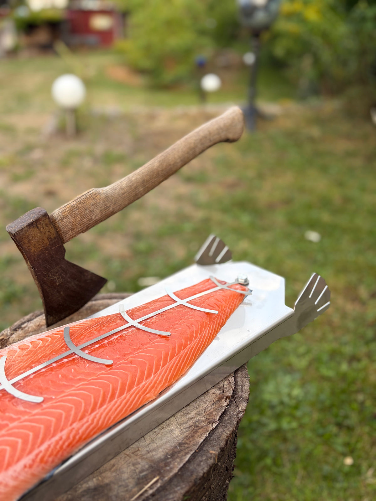 Finnischer Flammlachs