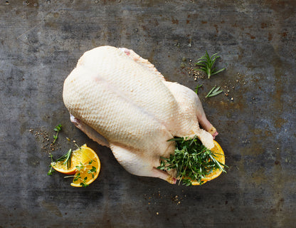 Pižmová kachna francouzská 1,6 kg