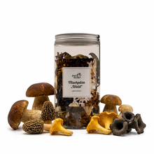 Mischpilze Wald getrocknet