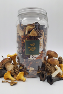 Mischpilze Wald getrocknet