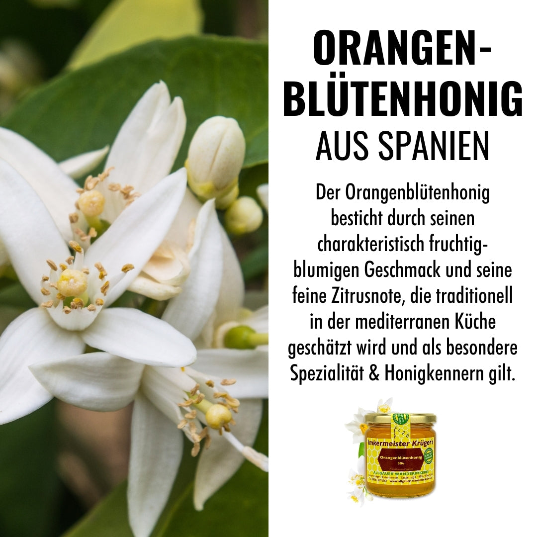 Orangenblütenhonig 500g