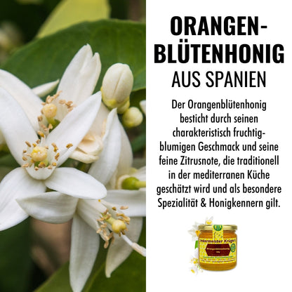 Orangenblütenhonig 500g