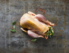 Perlhuhn 1,1kg